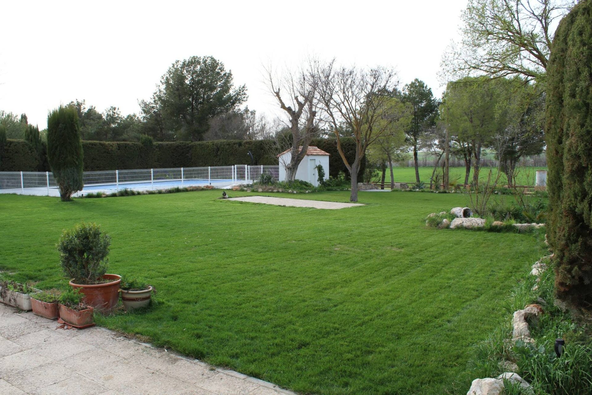 Pradera y piscina